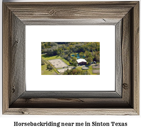 horseback riding near me in Sinton, Texas